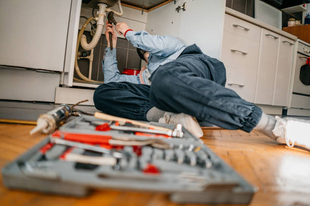 Best Drain Cleaning Services  in Carrollton, IL
