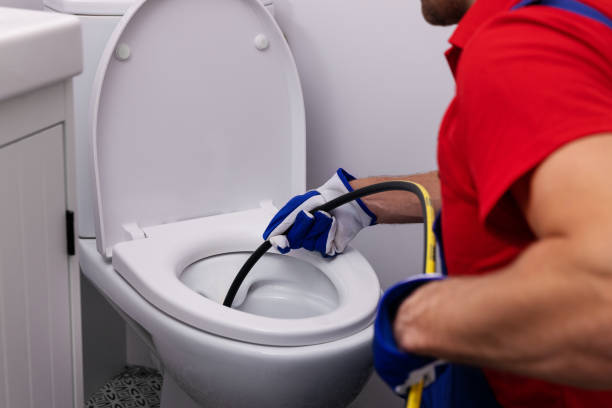 Best Plumbing Services Near Me  in Carrollton, IL
