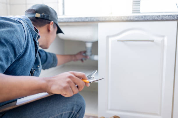 Best Clogged Drain Plumber  in Carrollton, IL