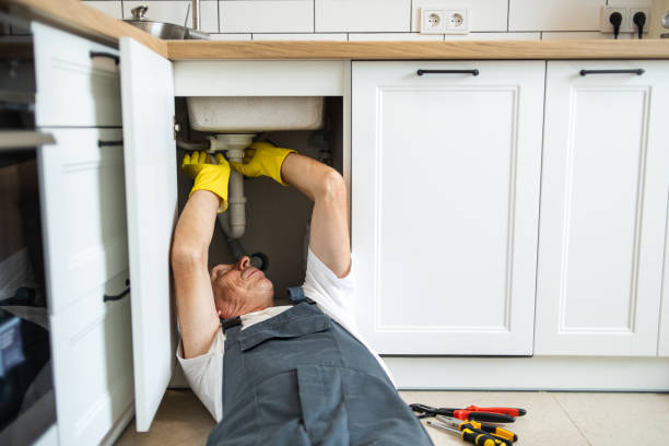 Best Local Plumber Services  in Carrollton, IL